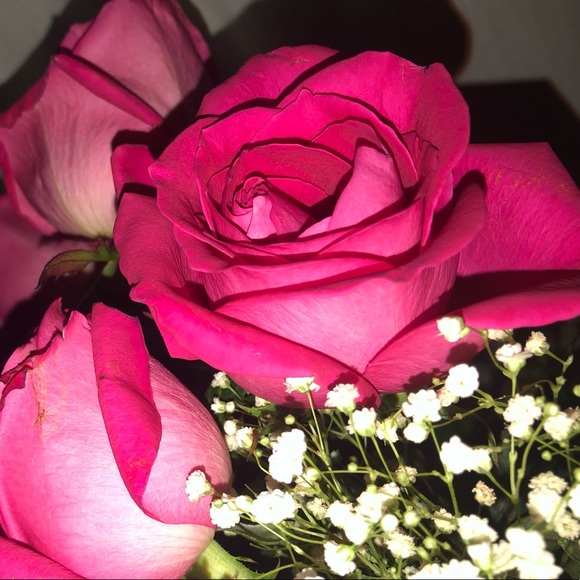 Meet your Posher, Lucero - Picture 1 of 1